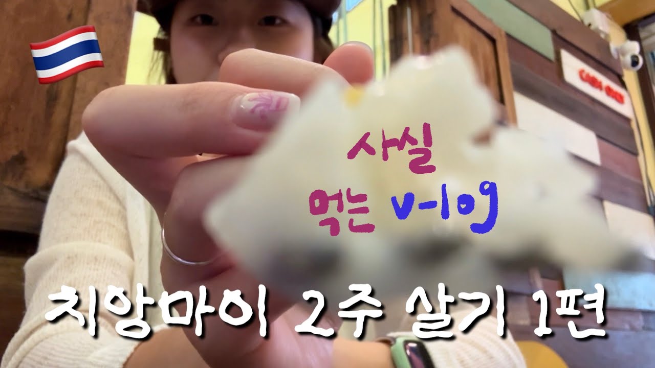 태국 치앙마이 2주 살기 1편 🇹🇭｜P의 하루살이 여행