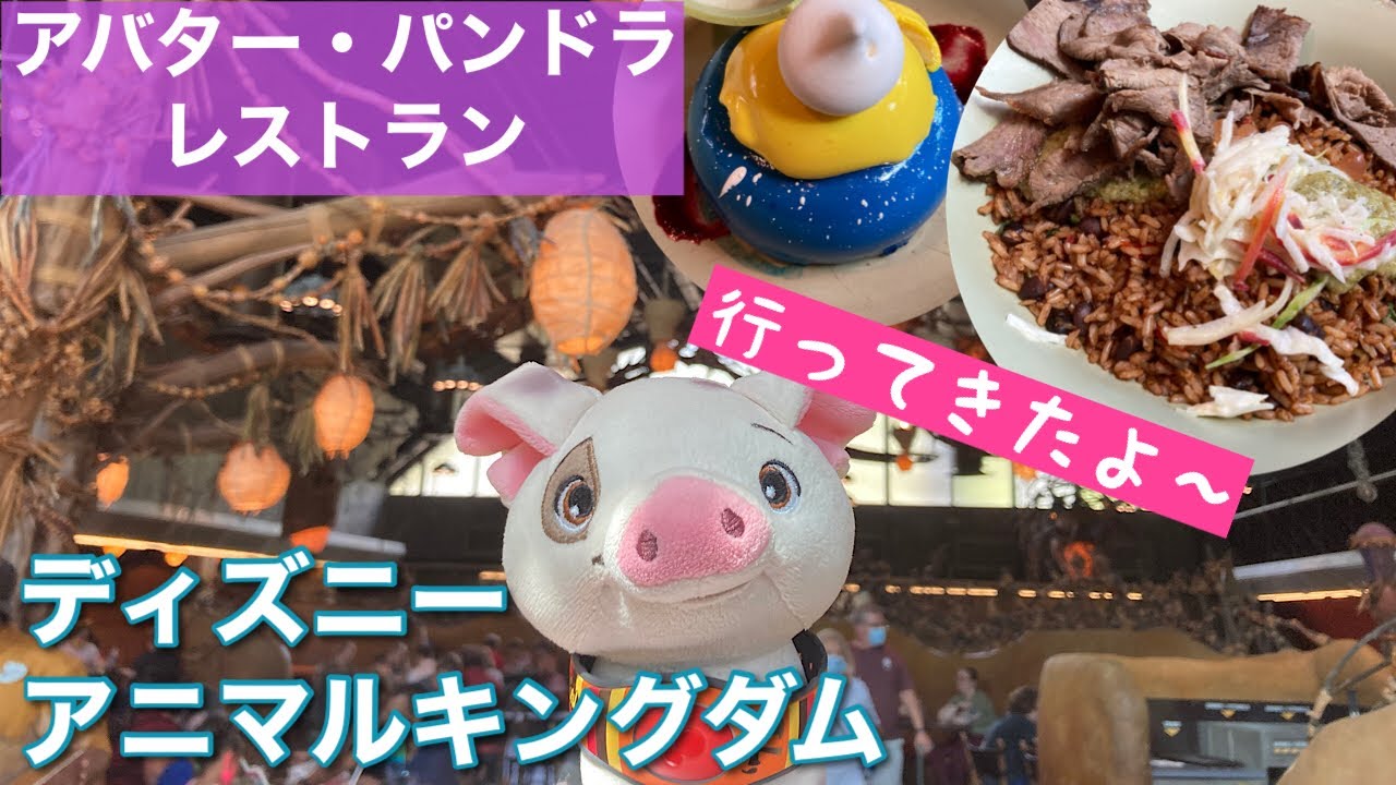 ディズニーワールド・レストランレビュー♪　パンドラ（アバター）のサトゥリ・キャンティーン　（アニマルキングダム）