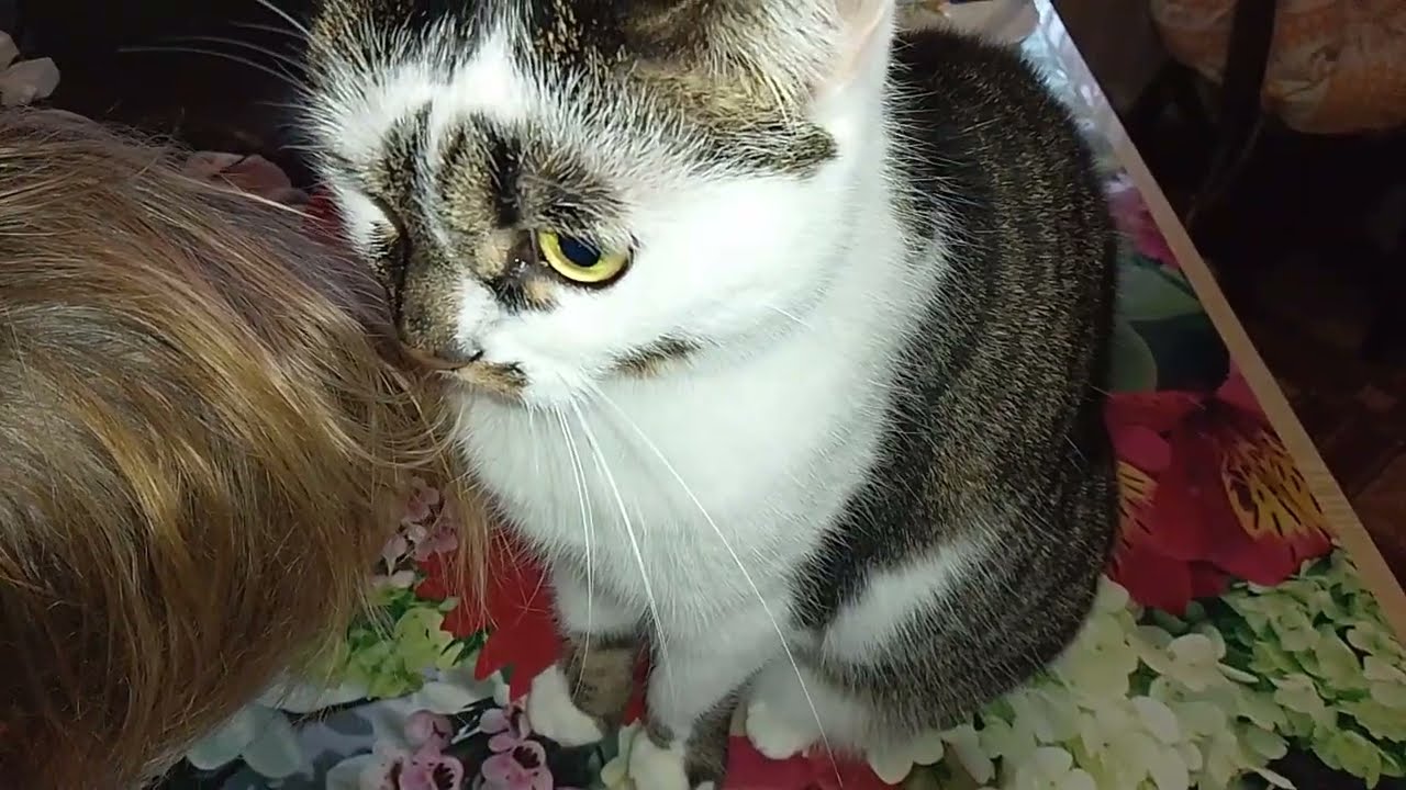 ТАНЯ + ФИФА= ЛЮБОФФ!!!😻 ВАРЮ СУПЧИК!🍲 БУДЕМ ПИТЬ КЛЮКВУ!!🥤