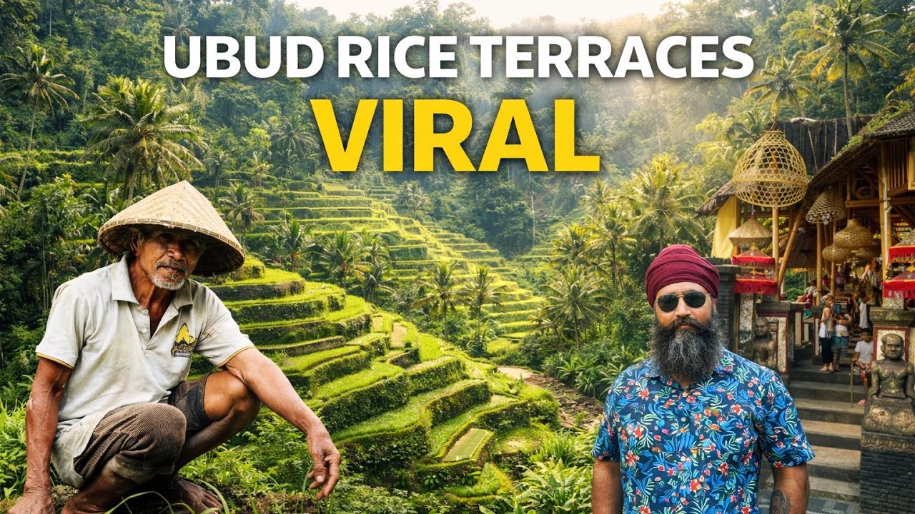 ਦੁਨੀਆ ਦੇ ਸਭ ਤੋਂ ਸੁੰਦਰ ਧਾਨ ਦੇ ਖੇਤ? | ਉਬੁਦ ਬਾਲੀ indonesia 🇮🇩 #deepabazidwala deepabazid wala