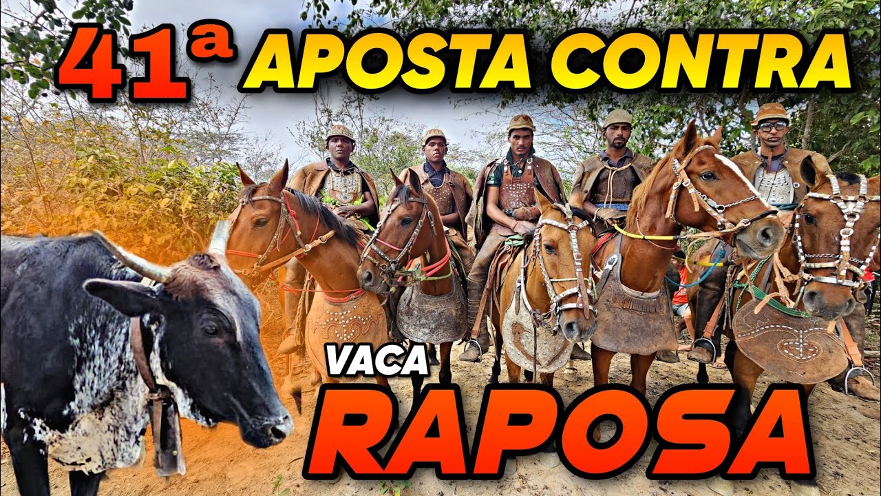 VAQUEIROS DE ITACURUBA CONTRA O GADO DOS HONORATO