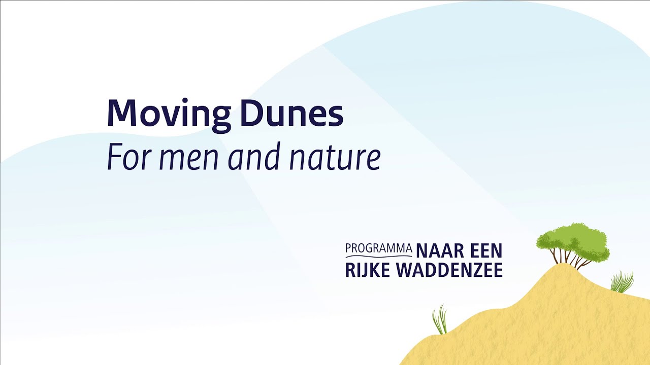 Dune dynamics