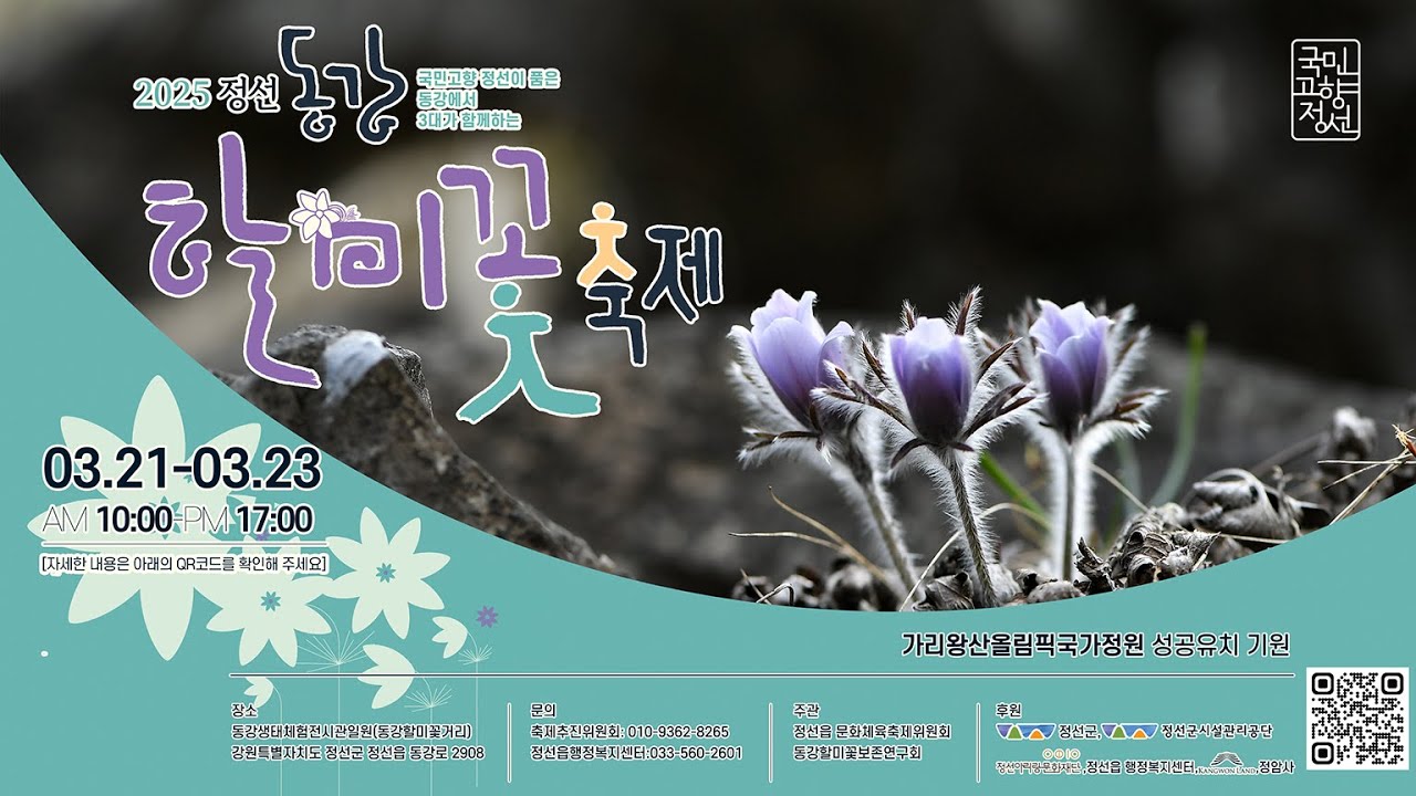 🌸 2025 정선 동강 할미꽃 축제 🌸 | 3대가 함께하는 '할미데이' 특별 초대!