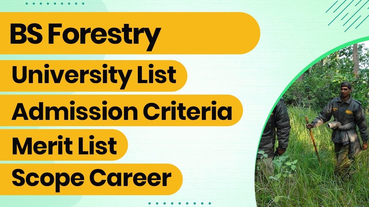 Career in Forestry - Scope of BS Forestry in Pakistan - Employment areas of forestry - BS Forestry