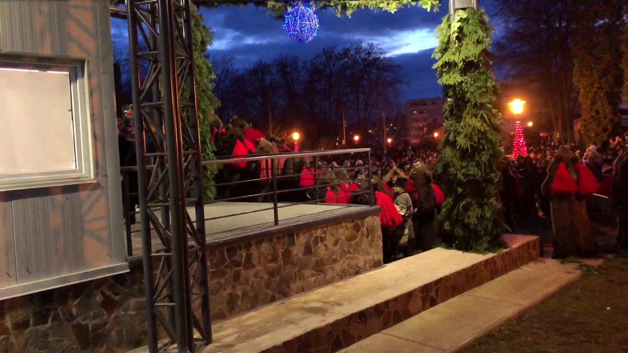 Ceata de ursi din Moineşti 30 decembrie 2019 ,datini stramosesti