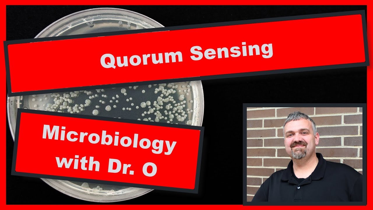 Quorum Sensing:  Microbiology