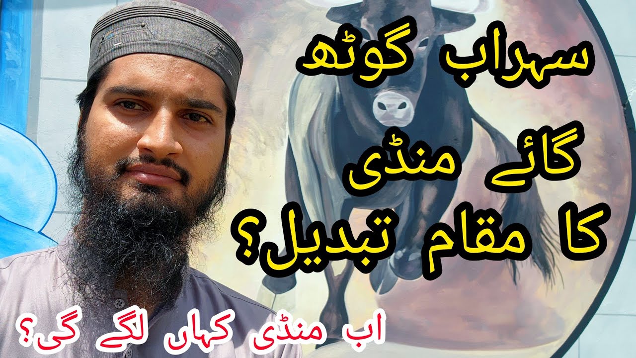 Sohrab Goth Cow Mandi 2023 Location Changed? New Place of Cow Mandi Karachi? Cattle Market Karachi