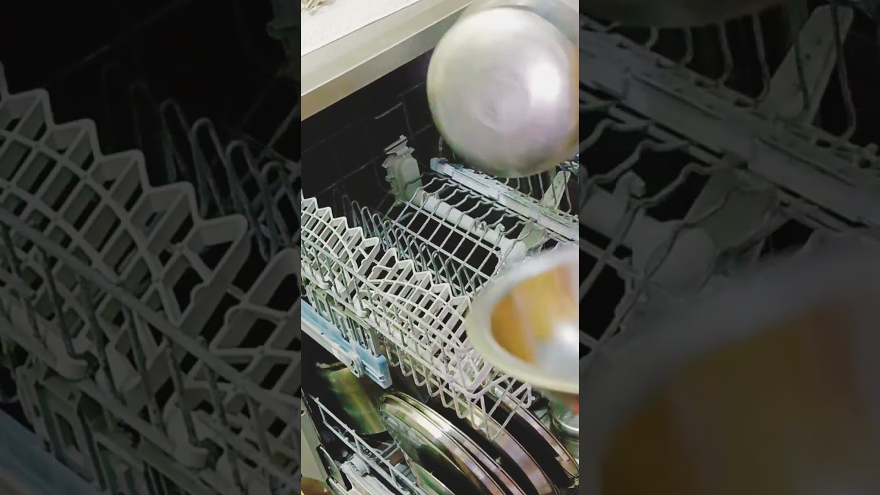 क्या Dishwasher लेने का फैसला सही है या पैसे बर्बाद हो गए कैसे धुलते है इसमें बर्तन || Dishwasher