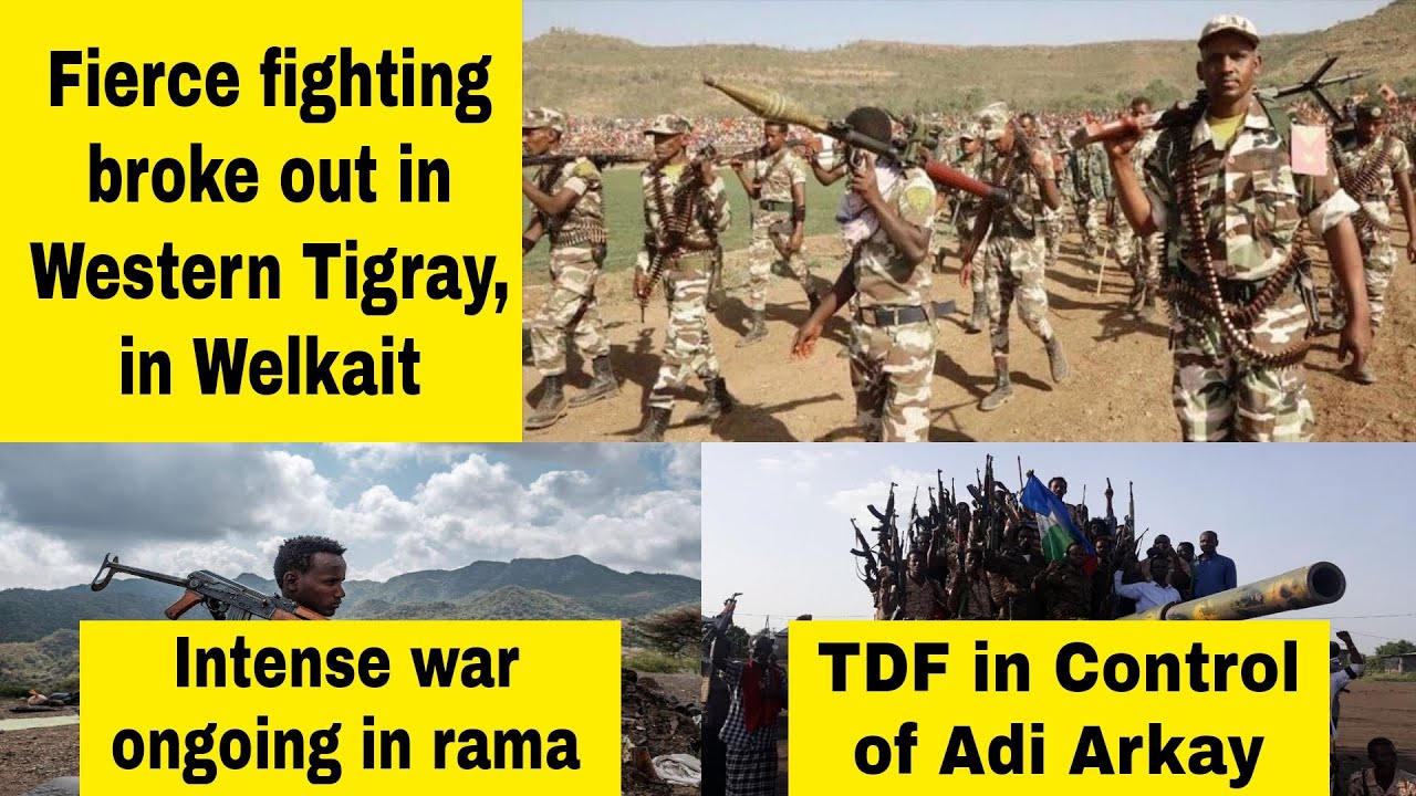 TDF | Welkait Western Tigray | Rama | Adi Arkay