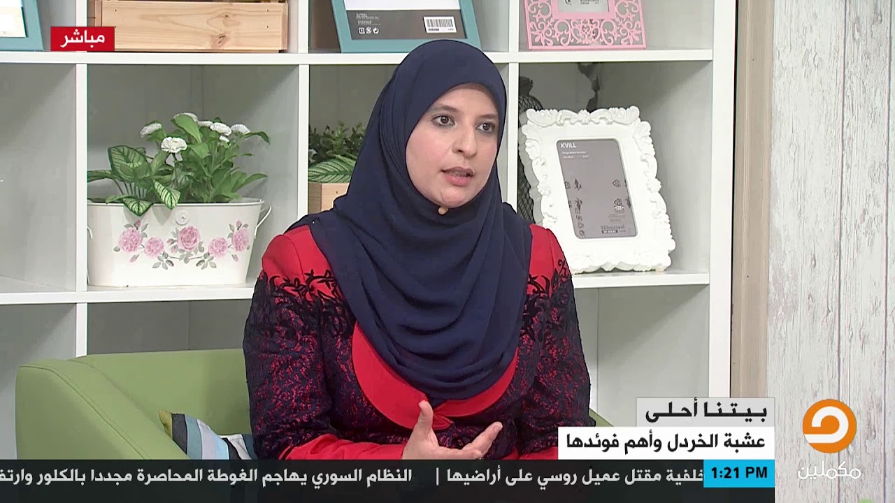 ما هي عشبة الخردل وما أنواعها || خالد مشرف