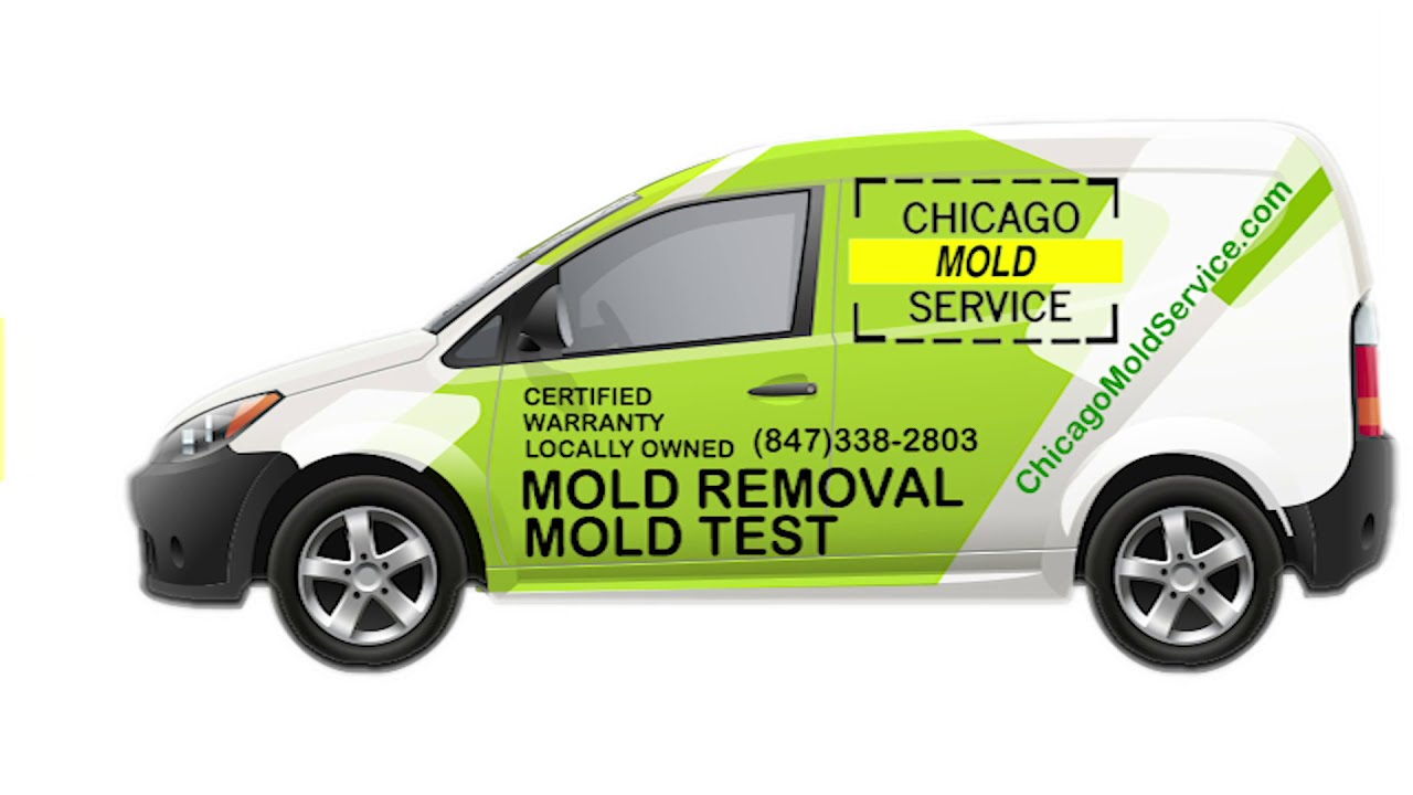 Chicago Mold Service Mold Remediation