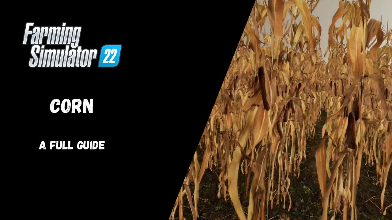 FS22 &mdash; Кукуруза, полное руководство &mdash; Farming Simulator 22
