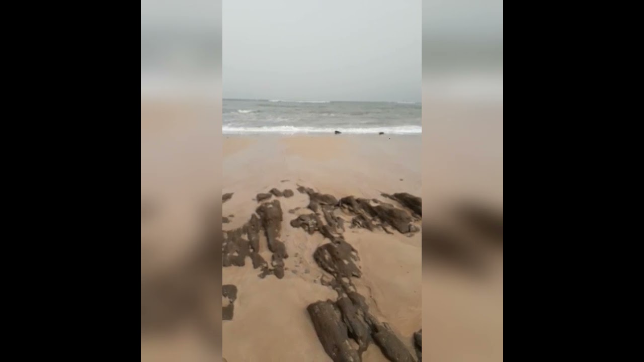 صوت الأمواج جد رائع