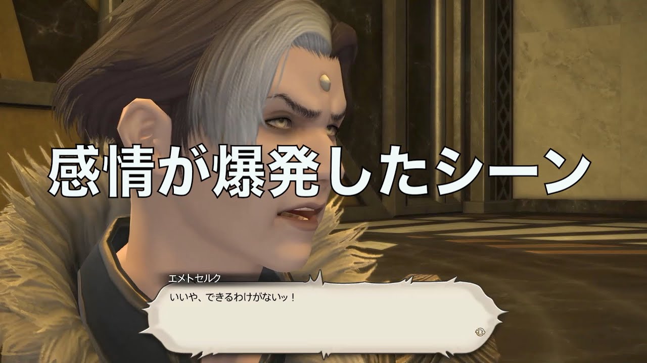 【FF14】エメトセルク「世界は……私たちのものだ。」主人公に見えた瞬間