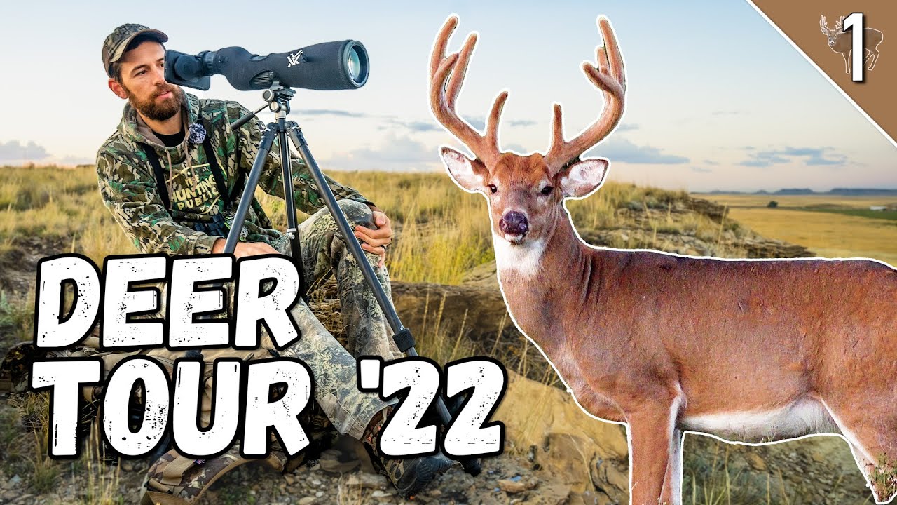 BOWHUNTING RIVER BOTTOM BUCKS!  (Rattlesnake Strike???)