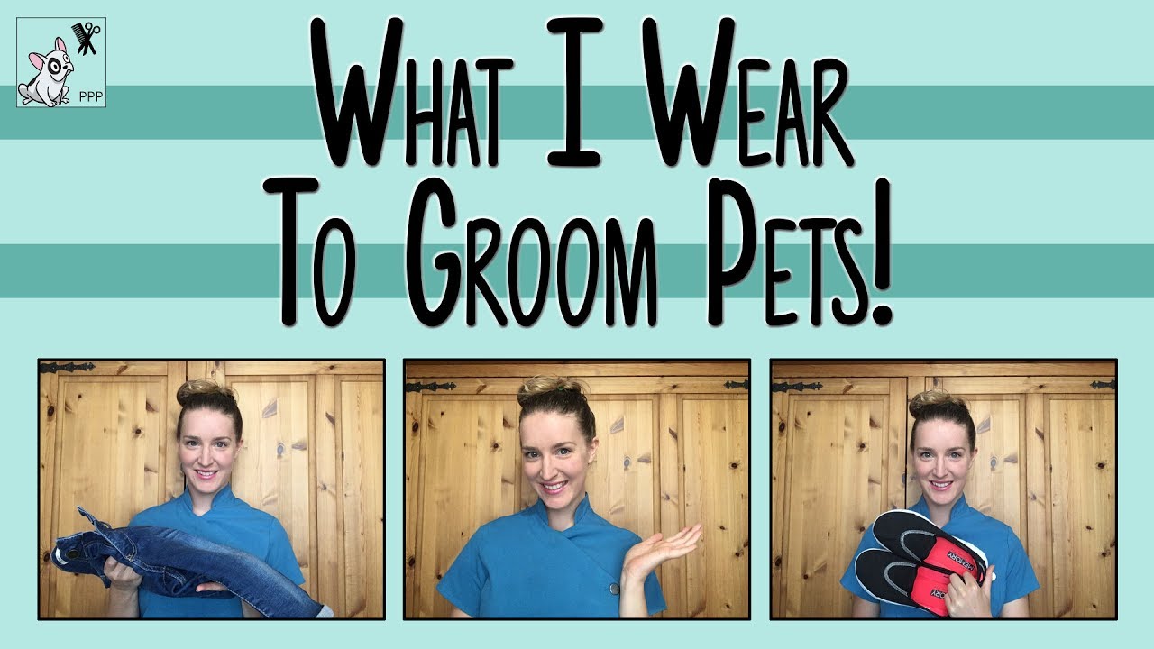 What I Wear To Groom Pets | Advice From A Pet Groomer