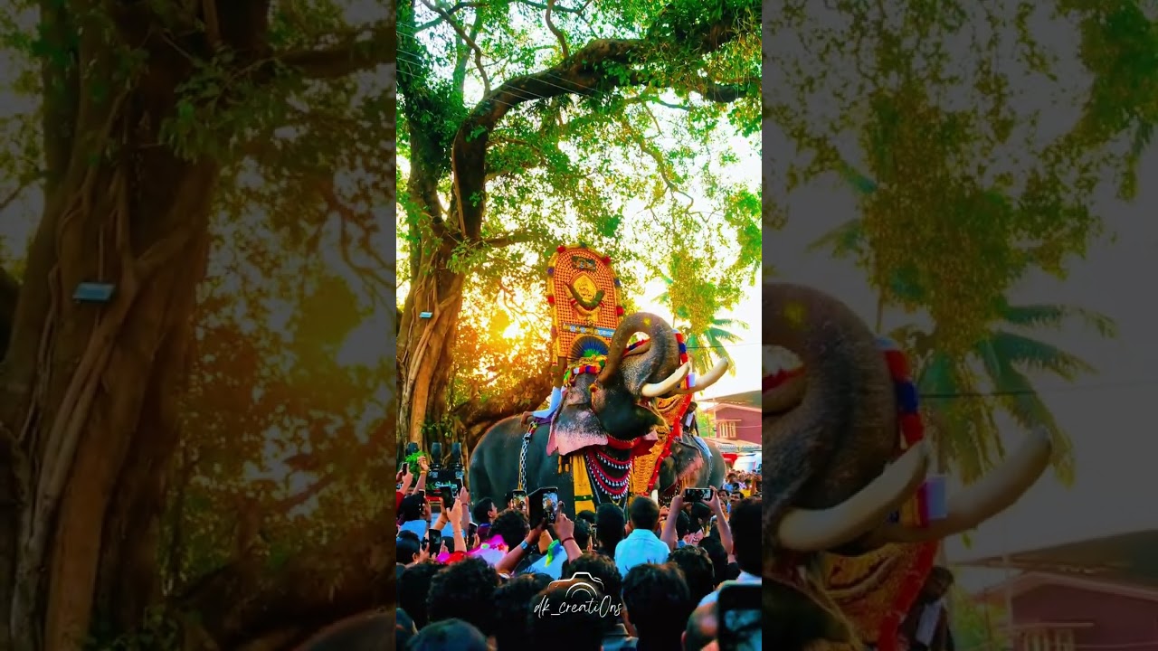കണ്ണിമ ചിമ്മുന്ന വേഗത്തിൽ പൂരം കടന്നുപോയി. ചെമ്പൂത്ര പൂരം