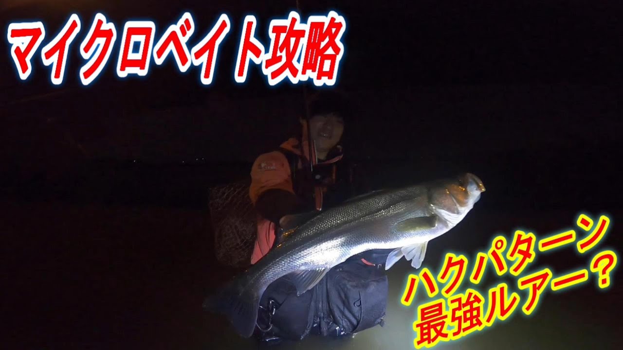 【実釣動画】ハクパターン攻略！最強ルアー登場⁉