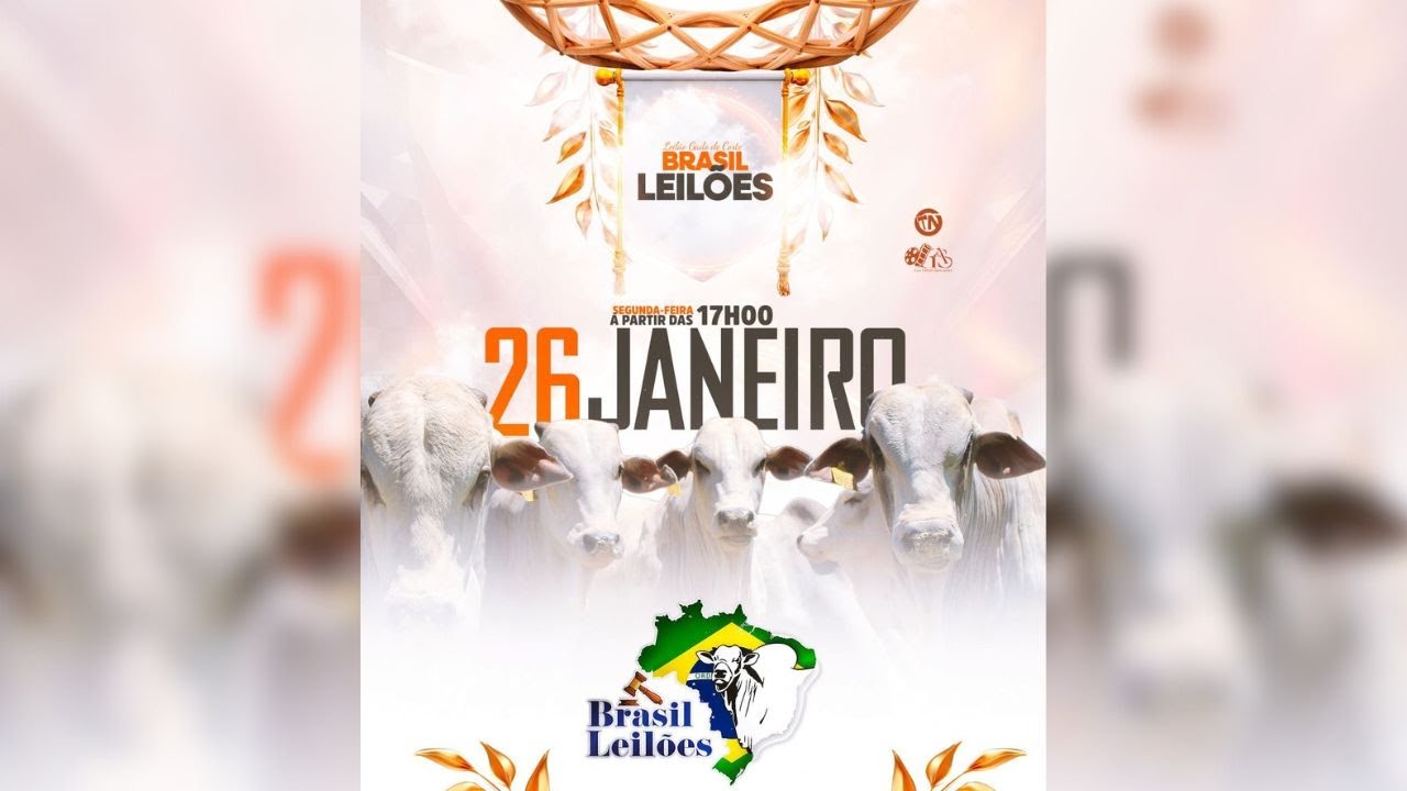 BRASIL LEILÕES  PORANGATU - GO  26/01/2026
