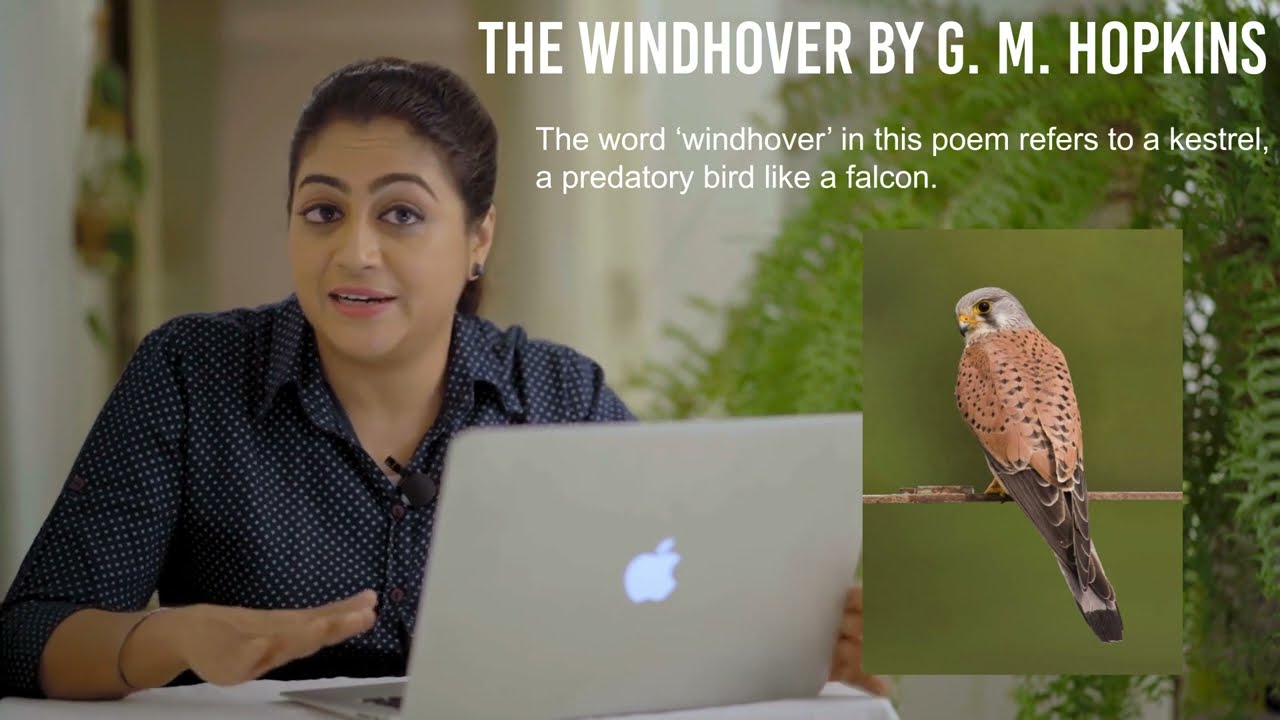 «Виндховер» || Стихотворение Г. М. Хопкинса | Пояснение