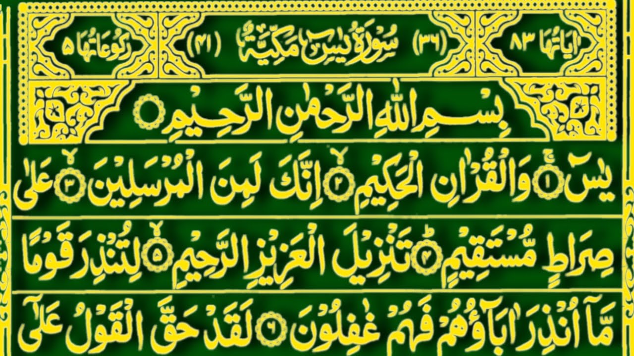 Surah Yaseen Surah Rahman | Best Qur'an recitation | Yaseen Surah full | Yaseen Sharif | Quran | 069