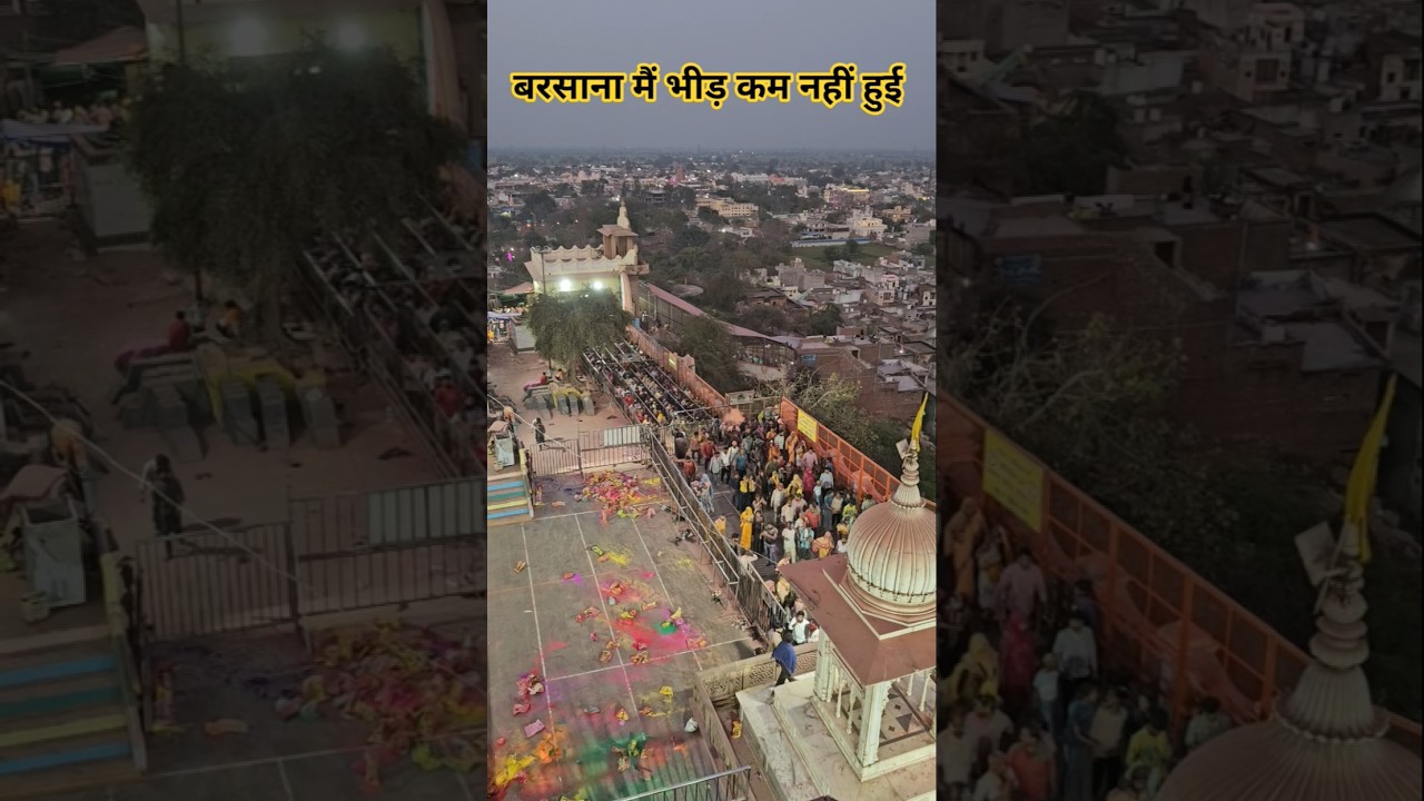 Barsana Holi | Radha Rani Mandir crowd #barsanatemple #shorts