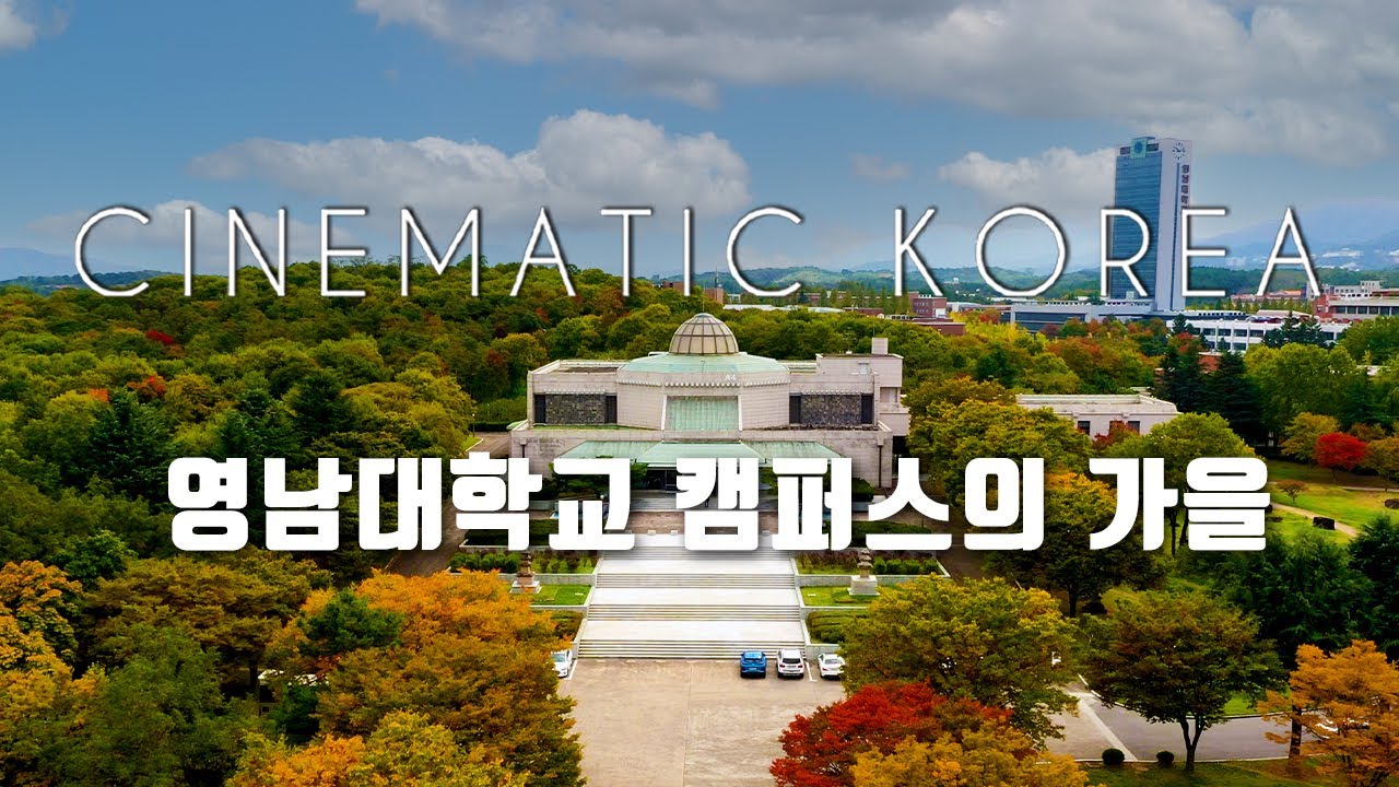 영남대학교 캠퍼스뷰 영남대 박물관 임당고분군 가을 캠퍼스의 낭만  경산드론영상 4K 드론영상 Cinematic Korea Yeungnam University Drone shot