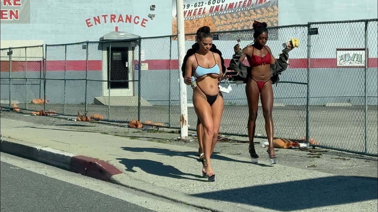 Wild and Free ; Streets of Pomona