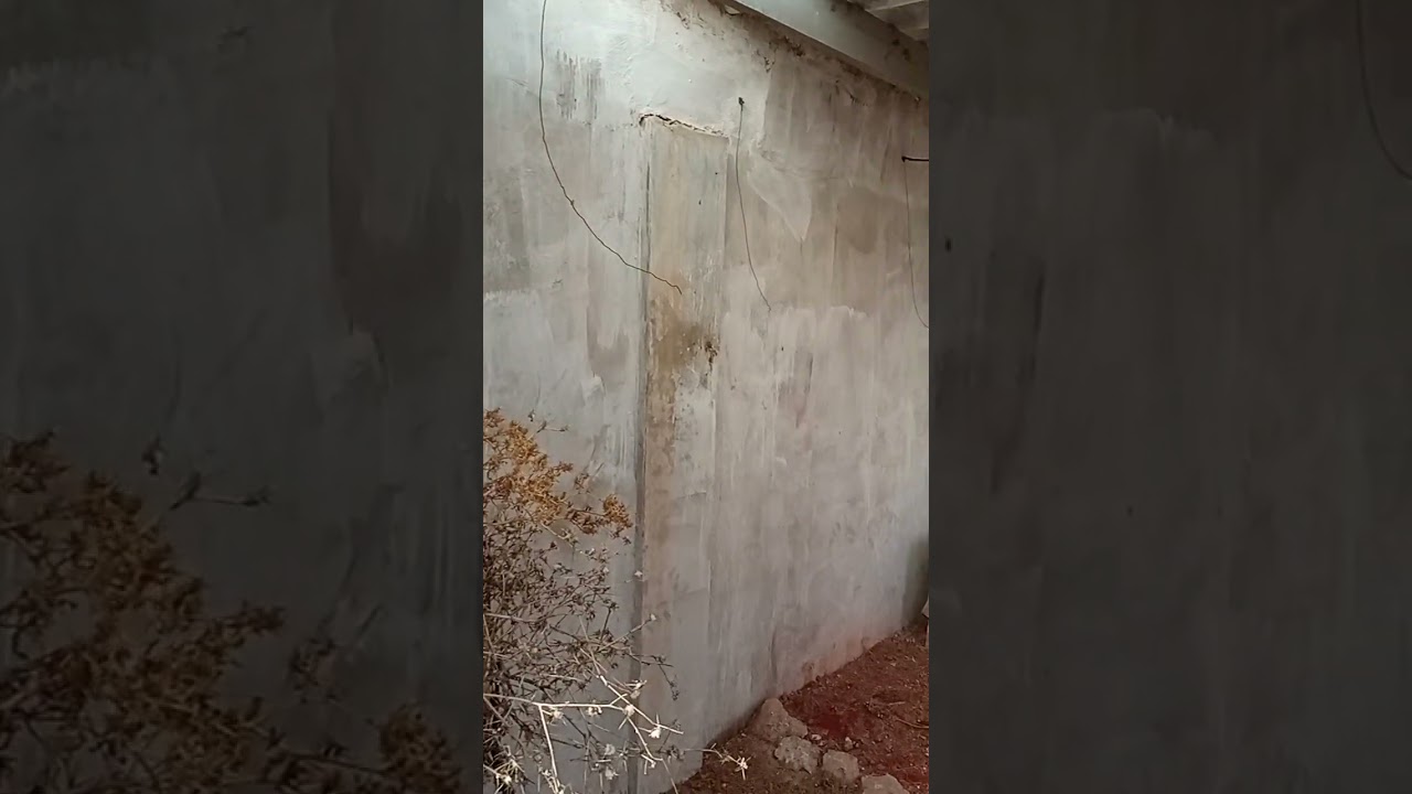 سلام اخوان العمل على تنضيف السلاكة من الاشجار القديمة بتوفيق للجميع يارب