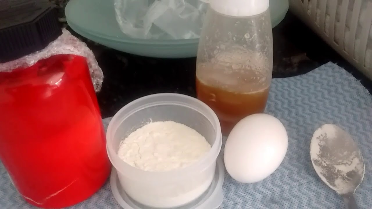 Como fazer um leite para gatos e cachorros recém nascidos muito nutritivo.
