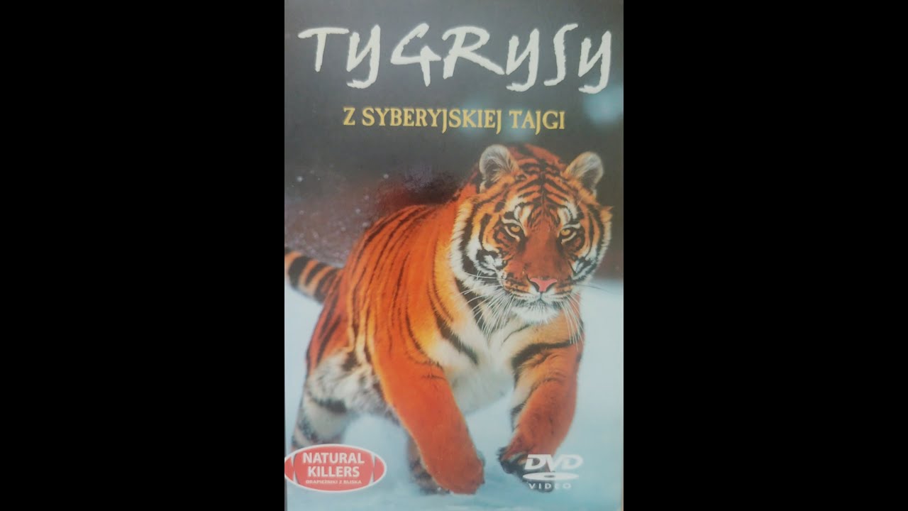 Natural Killers. Tygrys z syberyjskiej tajgi