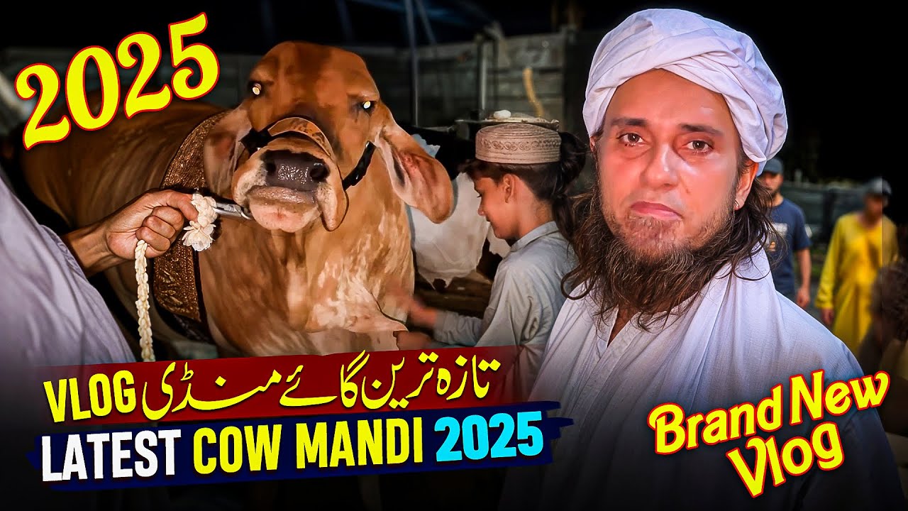 A Brand New Cow Mandi Vlog 2025 - Mufti Tariq Masood Vlog