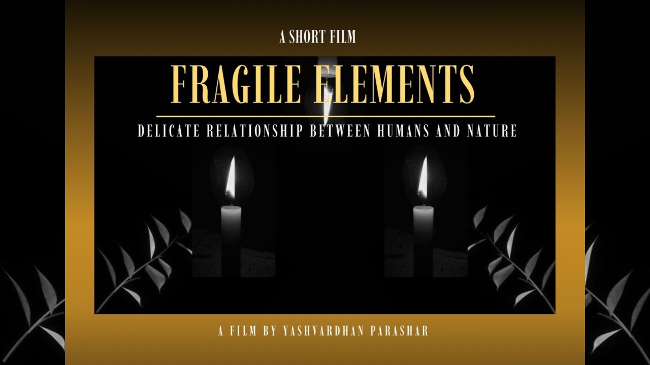 FRAGILE ELEMENTS