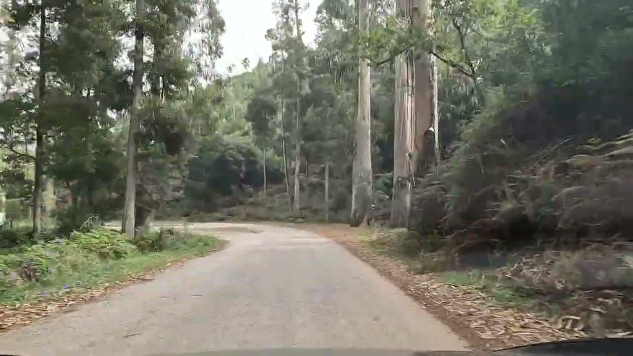Rallye Vidreiro Centro de Portugal 2025 ::: PEC 2 & 4 - São Pedro Moel