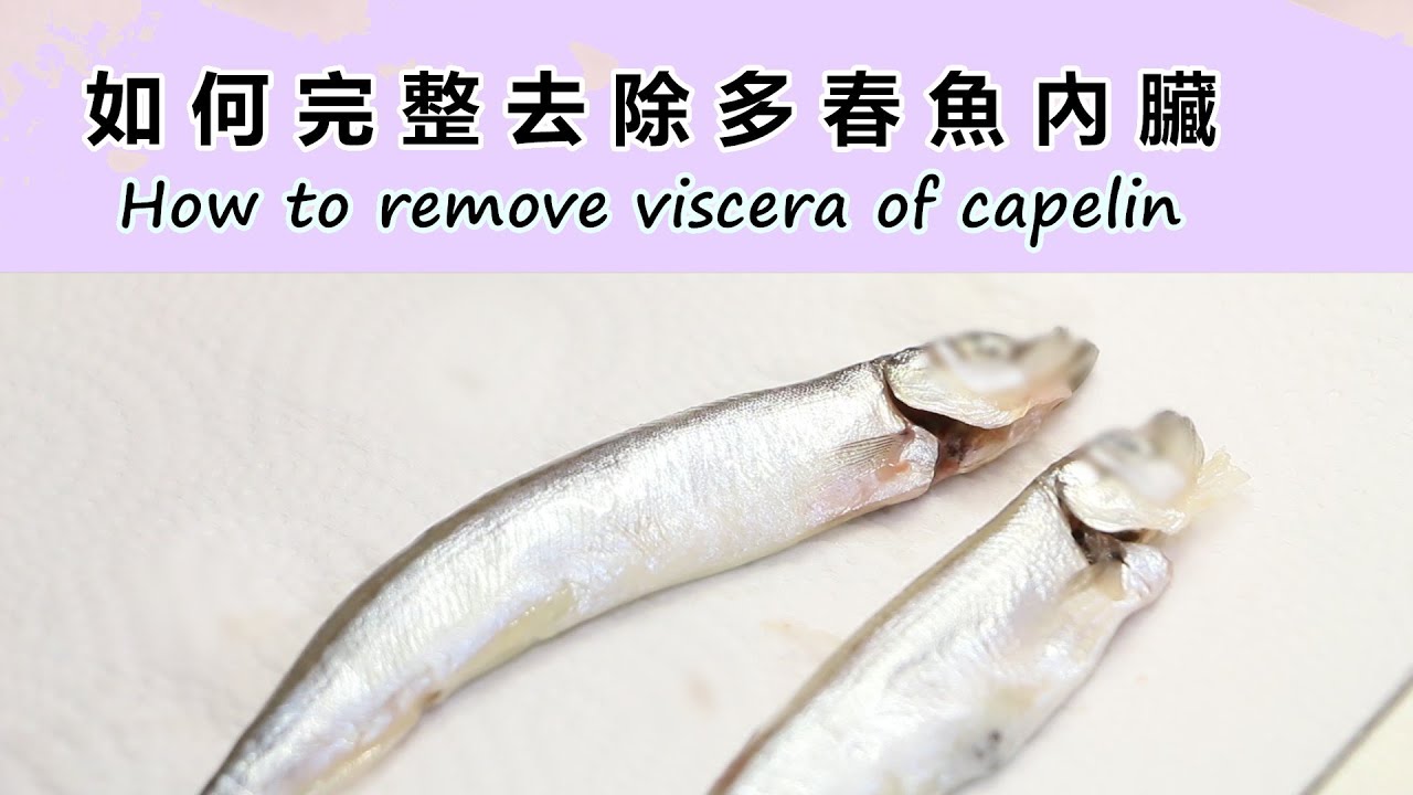 【NEW】超簡易｜如何完整去除多春魚內臟 How to Easy Remove/Clean Viscera of Capelinシシャモを完全に内臓抜きする方法시샤모를 완전히 내장 제거하는 방법