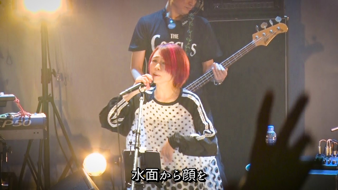 永井真理子/ORANGE (OFFICIAL LIVE MOVIE)