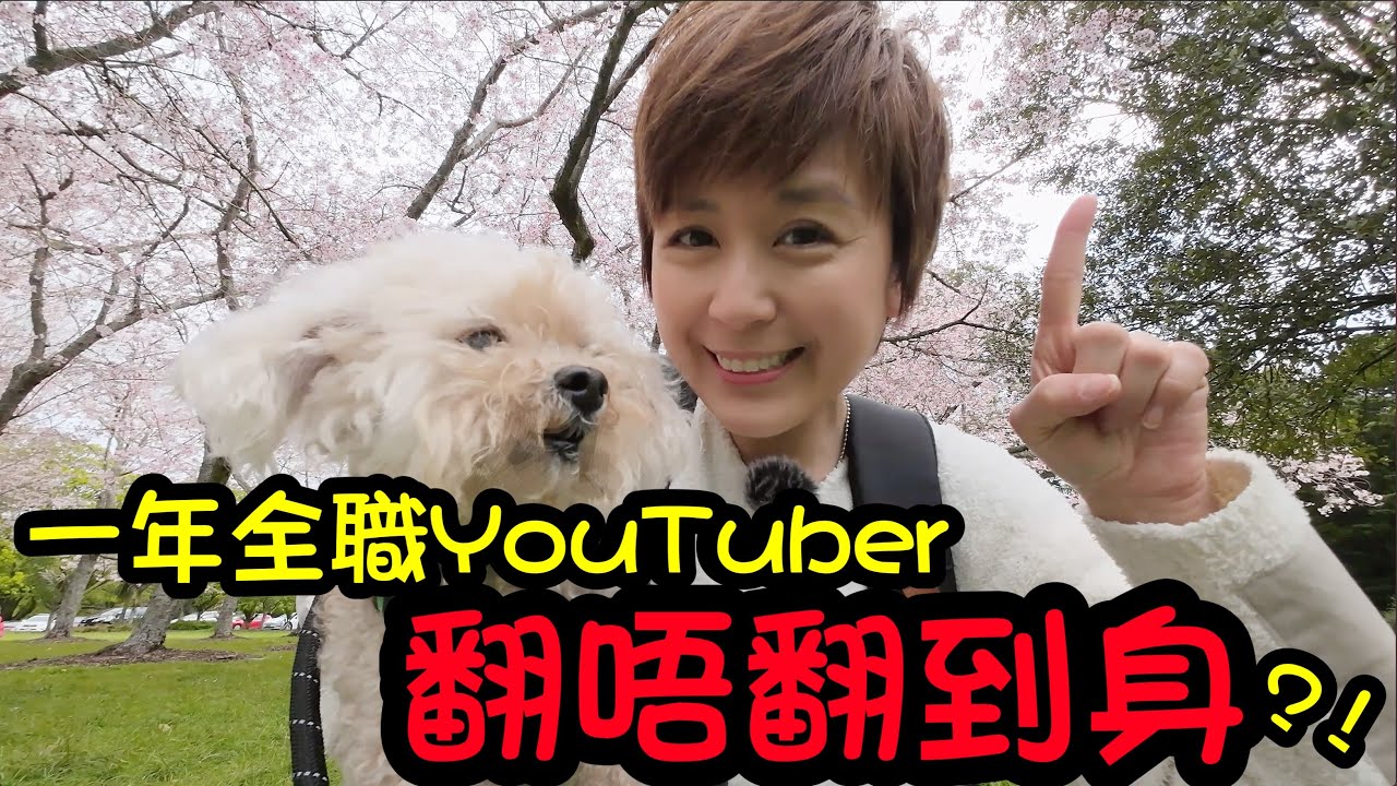 講吓紐西蘭離奇事件😲 帶你睇一年一度嘅櫻花🌸 新攪作正式公開🤪 Vlog 45