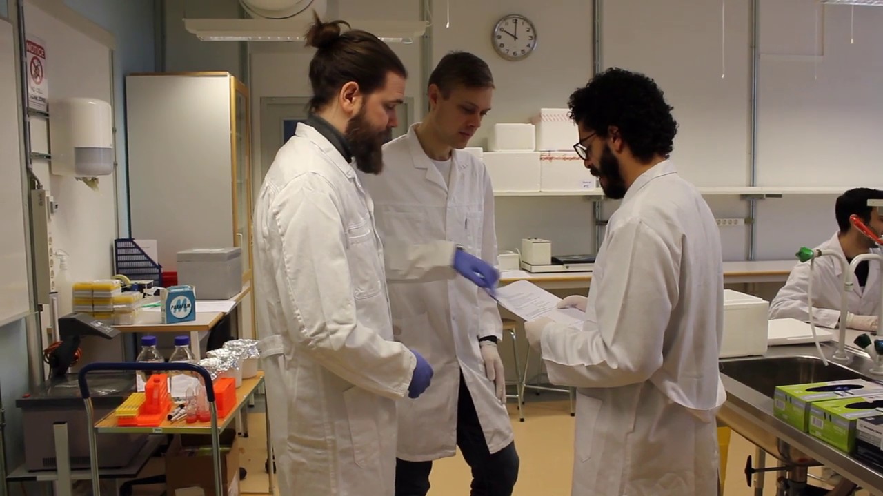 A student talks about the Master's Programme in Molecular Medicine