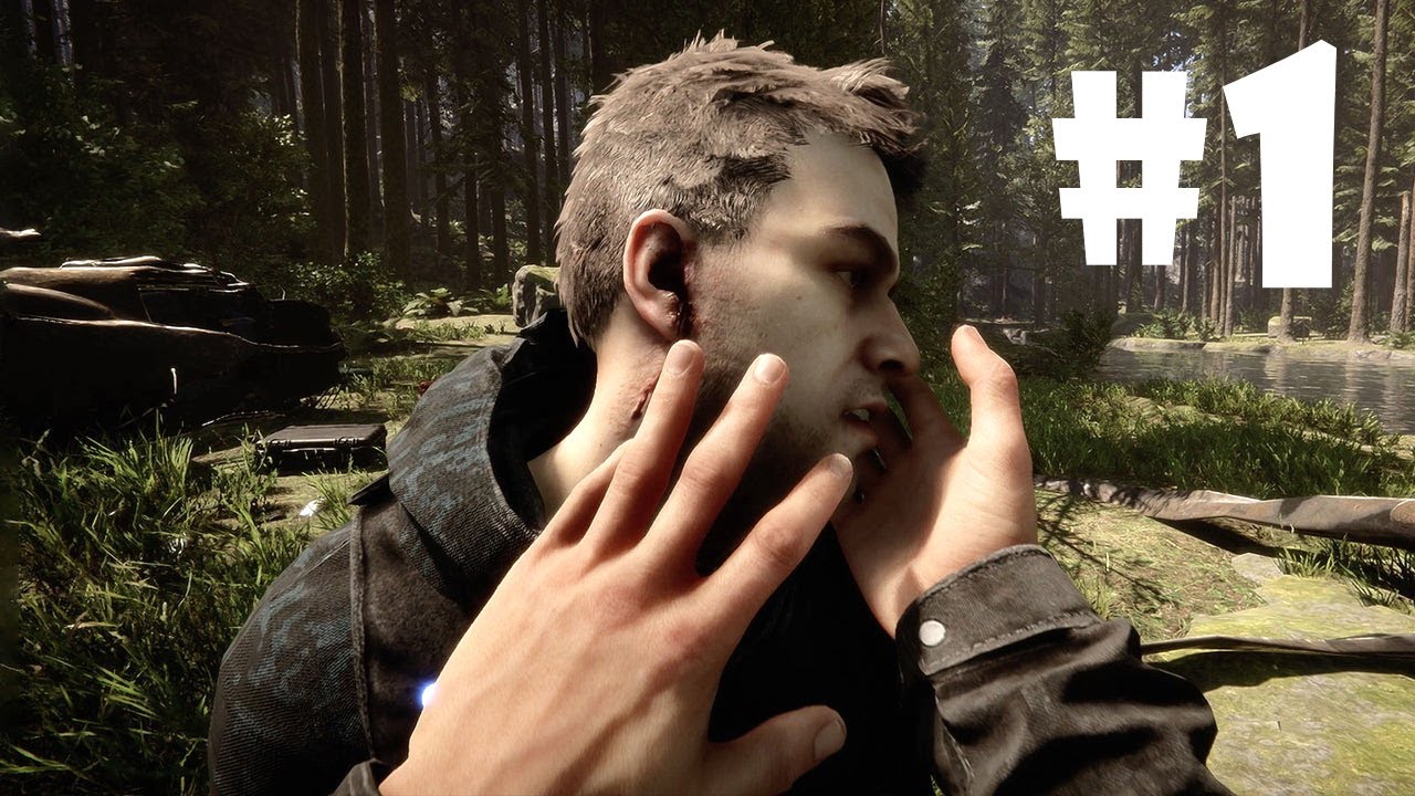 Sons of the Forest (Early Access) - A Crash Landing - Part 1 - PC Gameplay