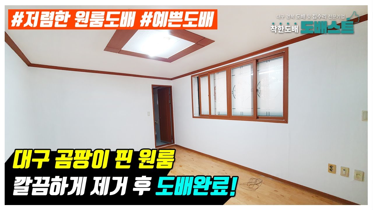 대구 곰팡이 핀 원룸 도배