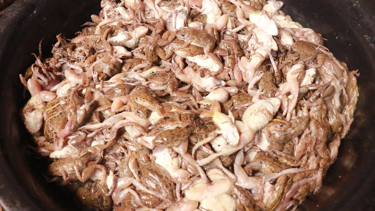 could you eat this food? || Deep fry a lot of small frogs