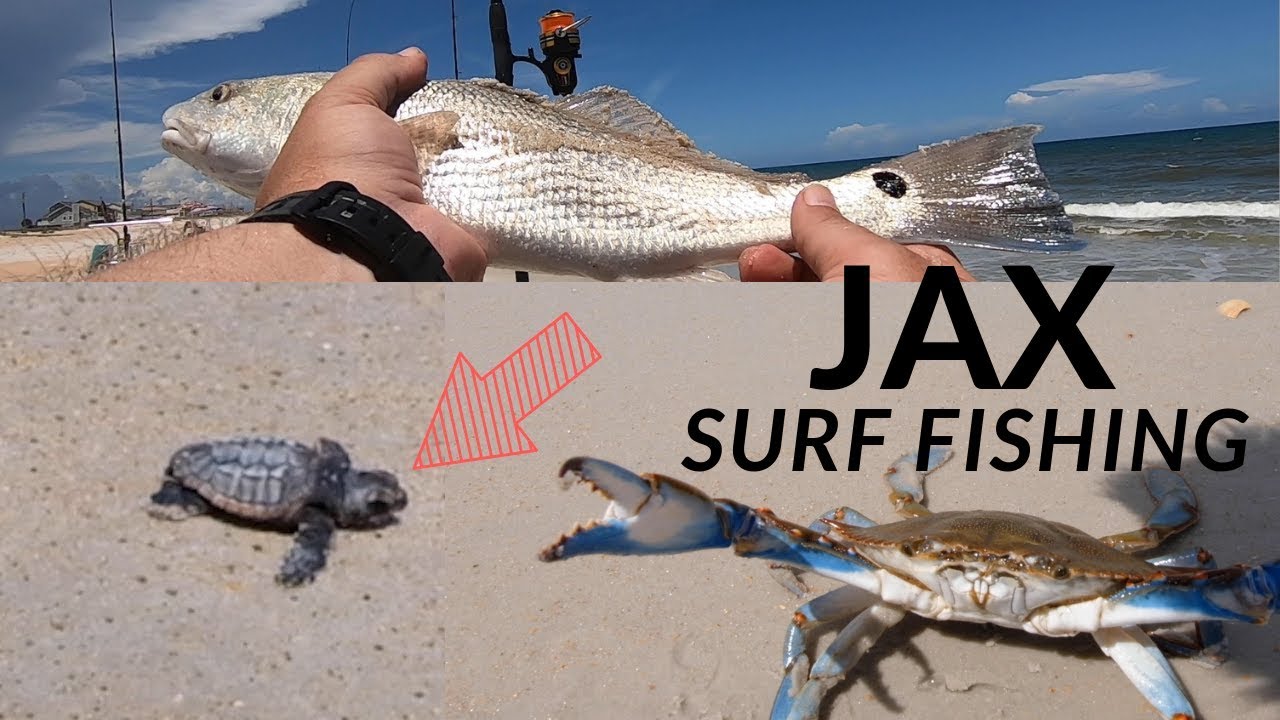 Surf Fishing Florida. How to catch REDFISH WHITING POMPANO! Surf Fishing Jacksonville, FL!