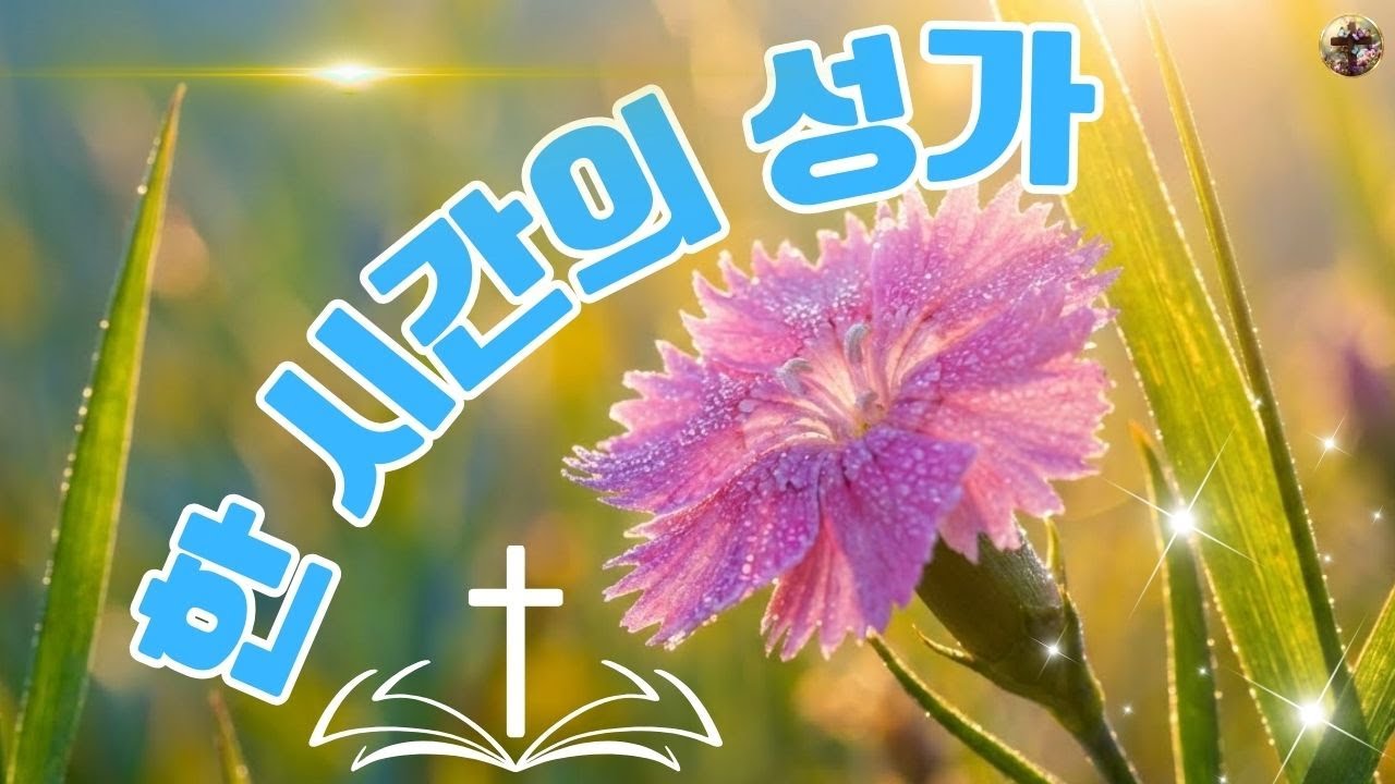 한국교회 예배찬송가 베스트 💯 감사의 마음으로 찬송을 바친다 ✝️ 최고의 은혜로운 찬양 모음