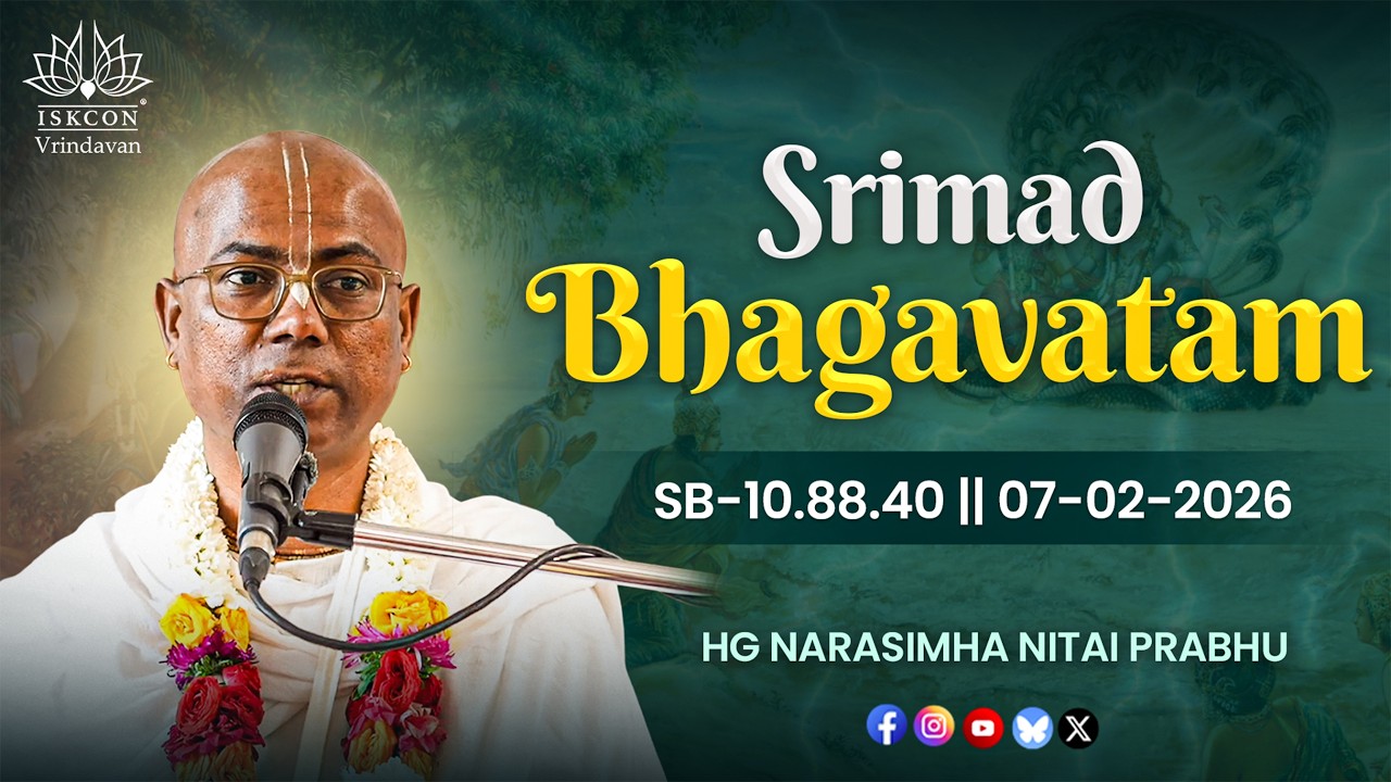 HG Narasimha Nitai Prabhu || SB-10.88.40 || 07-02-2026