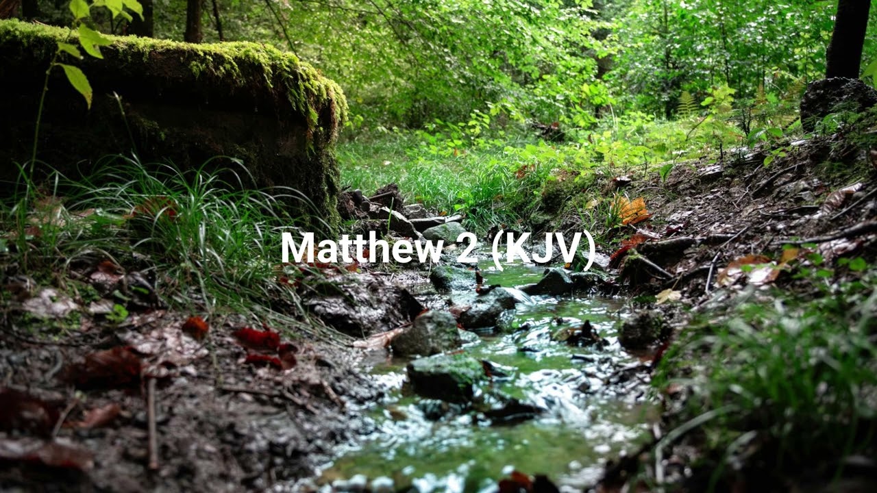 Matthew 2 (KJV)|Singlogos
