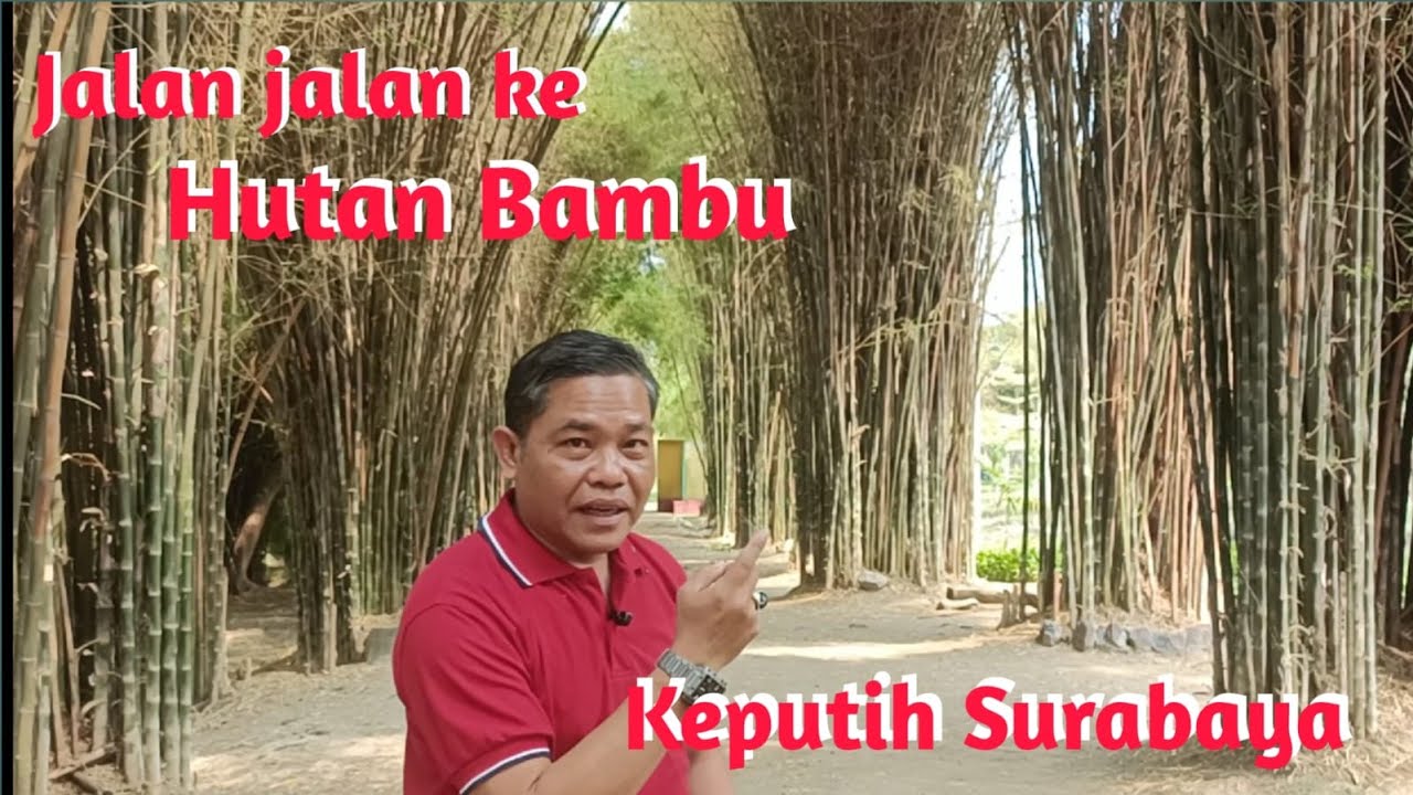 WISATA KE HUTAN BAMBU KEPUTIH SURABAYA