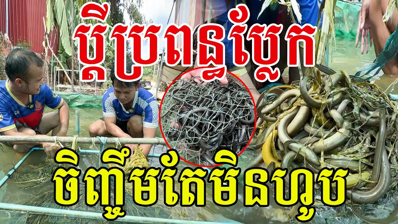 ប្លែកប្ដីប្រពន្ធនេះ​ ចេះចិញ្ចឹមតែមិនចេះហូប​ សូមសរសេីរមានគំនិតល្អណាស់