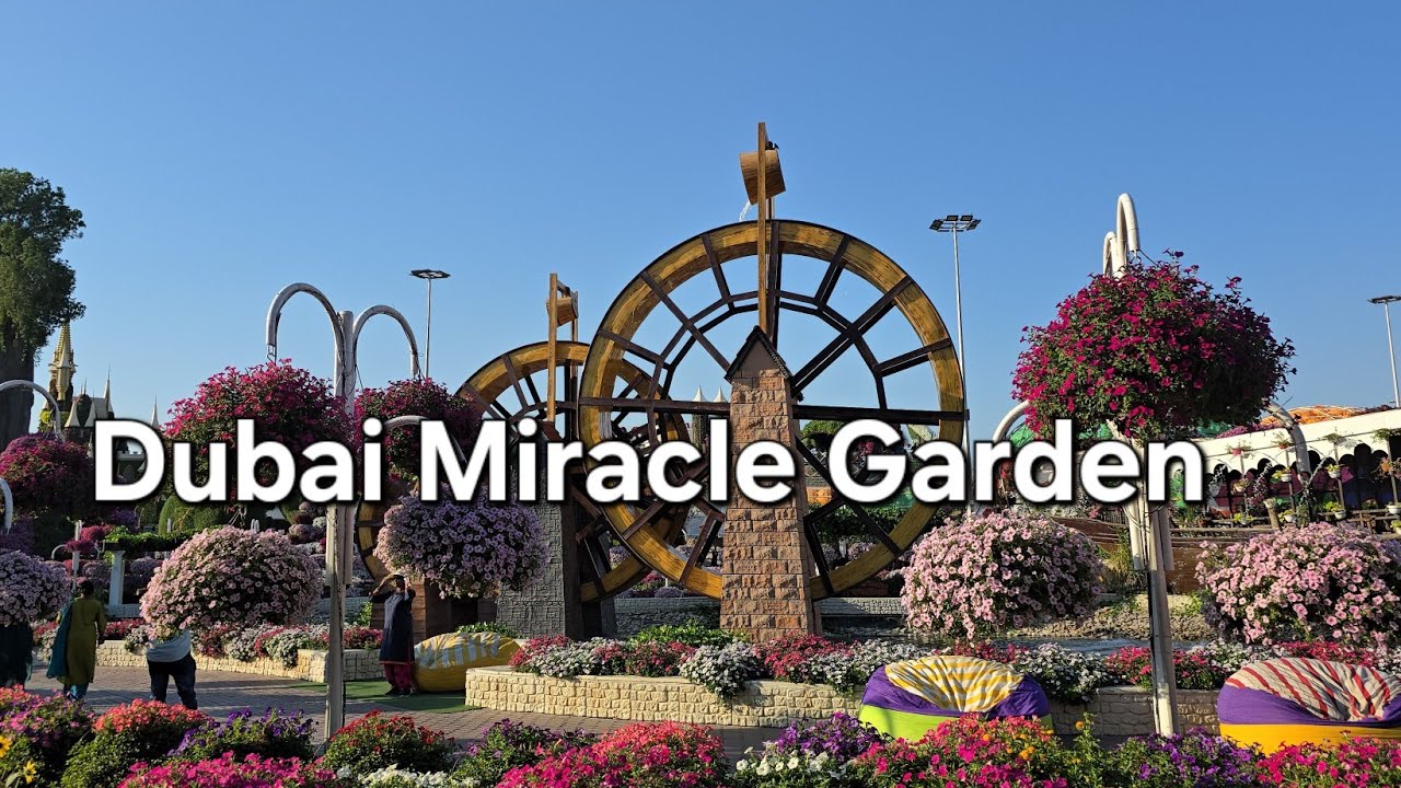 EXPLORE @DUBAI/ dubai miracle garden /part 1