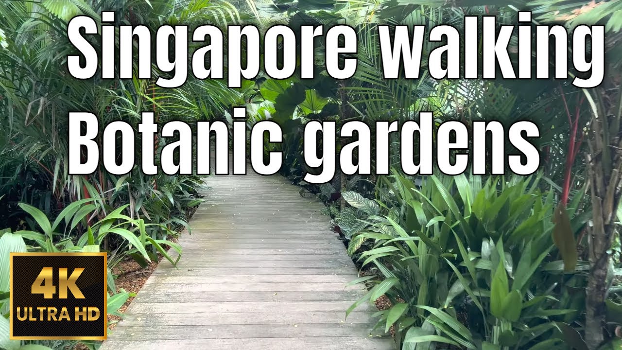 [ 4K UHD 60fps ] Walking City and Botanic garden | Singapore