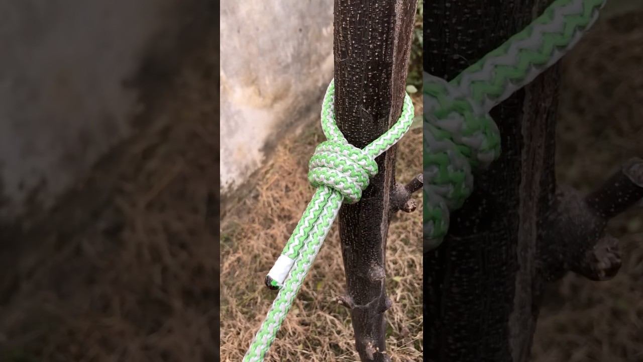 How To Tie A Rope Around The Tree 🌲